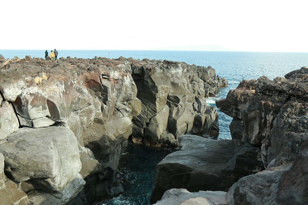 ジオツアー 城ヶ崎海岸散策
